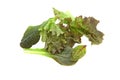 Mesclun salad on a white background