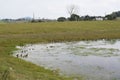 BEAUTIFUL COLOMBIAN NATURAL HABITAT, ESTERO LLANERO