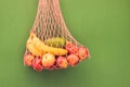 Mesh bag of fruits