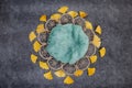 Mesh basket with a green rug and yellow leaves on a gray graphite background, a nest for shooting Royalty Free Stock Photo