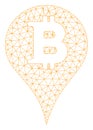 Bitcoin Marker Vector Mesh Carcass Model Royalty Free Stock Photo