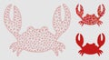 Crab Vector Mesh Network Model and Triangle Mosaic Icon
