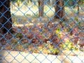 Mesh fence panel on blurred background Royalty Free Stock Photo