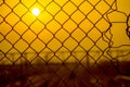 Mesh Fence with Sunrise