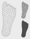 Foot Vector Mesh Wire Frame Model and Triangle Mosaic Icon Royalty Free Stock Photo