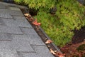 Mesh on home rain gutters keeping leaves out