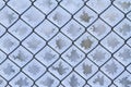 Mesh netting covered with frost, snow structure Royalty Free Stock Photo