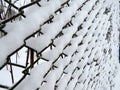 Mesh netting covered with snow