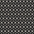 Mesh seamless pattern, thin wavy lines. Texture of lace. Royalty Free Stock Photo