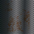 mesh wire texture. Vector illustration decorative background design