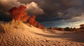 Mesmerizing Autumn Sand Dunes Capture With Canon Eos-1d X Mark Iii Royalty Free Stock Photo