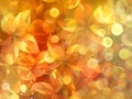Mesmerizing Bokeh Patterns with Warm Golden Hues and Organic Shapes
