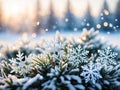 Enchanting Frost: A 4K Journey into Delicate Winter Beauty