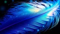 A close up of a blue feather with glowing particles against a dark background in a studio shot Royalty Free Stock Photo