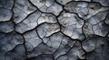 A mesmerizing close-up of mud cracks creates an abstract landscape filled with intricate patterns