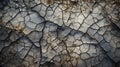 A mesmerizing close-up of mud cracks creates an abstract landscape filled with intricate patterns
