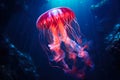 Mesmerizing Deep Sea Jellyfish Illumination.