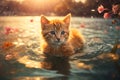 A Cherished Kitten Gracefully Swimming in the Radiant Glow of the Setting Sun