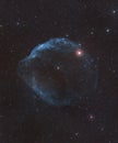 Mesmerizing Dolphin Head Nebula in the night sky