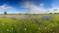 A Mesmerizing Dreamland: Fantasy Landscape of Colorful Spring Flowers and Butterflies Royalty Free Stock Photo