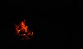 Mesmerizing fire with orange and red flames. In dark night time some wood chips are on fire