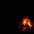 Mesmerizing fire with orange and red flames. In dark night time some wood chips are on fire