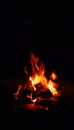 Mesmerizing fire with orange and red flames. In dark night time some wood chips are on fire