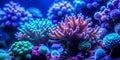 Mesmerizing Glowing Coral Structures in the Ocean rio de Lisboa Aquarium AI Generative