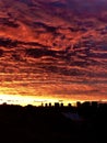 Mesmerizing gorgeous great view on early morning fiery sunrise in Toronto city, Ontario, Canada