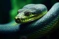 Mesmerizing green snake coiled on vibrant jungle tree branch in detailed macro photograph