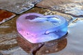 Mesmerizing heart shaped ice sculpture with vibrant gradient colors on reflective wet surface, capturing the essence of fleetin