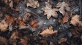 Frosty Leaves: Atmospheric And Moody Aerial View Of Pile Of Leaves