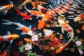 A mesmerizing image capturing a group of koi fish gracefully swimming in a beautiful pond., River pond decorative orange Royalty Free Stock Photo