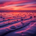 Crimson Tide, Shells and Sand Ripples at Sunset Royalty Free Stock Photo