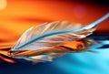 Mesmerizing Macro: A Feather with a Glistening Water Drop Royalty Free Stock Photo