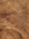 A mesmerizing, macro-level view of a leather surface, showcasing an intricate, undulating landscape of pores, creases Royalty Free Stock Photo