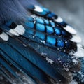 The Abstract Beauty of a Blue Jay Wing Generative AI.jpeg Royalty Free Stock Photo