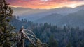 Mesmerizing natural landscape scenery of forested mountains at sunset