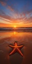 Mesmerizing Orange Sunrise Starfish On A Serene Beach Royalty Free Stock Photo