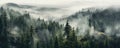 mesmerizing panoramic view of a dense, misty forest, with towering trees enveloped in fog, creating an ethereal panorama