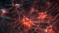 Illuminating the Neural Network
