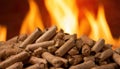 wood pellets in front of flames