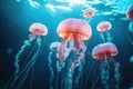 A mesmerizing photo capturing a group of jellyfish gracefully swimming in the vast, blue ocean, View of jellyfish in ocean, AI Royalty Free Stock Photo