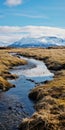 Swamp In Iceland: A Journey Through Snowy Tundra Mountains And Gothic Literature Themes