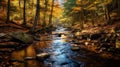 Maple Forest: Tranquil Autumn Stream With Vibrant Leaves