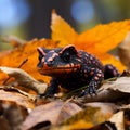 Stealthy Salamander: Master of Camouflage in Enchanting Forest