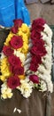 Mesmerizing red roses with beautiful white and yellow coloured flowers