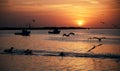 Mesmerizing scene of silhouette boats and birds over the sea at sunset in Rio Lagartos, Mexico Royalty Free Stock Photo