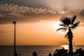 Mesmerizing scenery of the beautiful seascape with a palm tree at scenic sunset Royalty Free Stock Photo