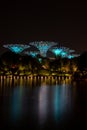 Mesmerizing scenery of Gardens by the Bay park full of colorful lights during evening time